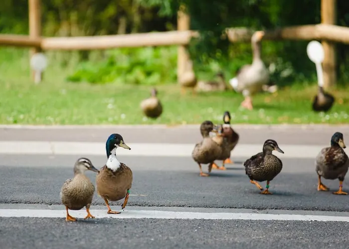 Apartment Confortable A 300 M De La Avec Parking Prive - Fr-1-788-45